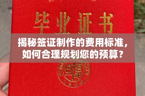 铁东揭秘签证制作的费用标准，如何合理规划您的预算？