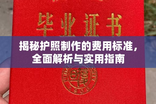 青白江揭秘护照制作的费用标准，全面解析与实用指南